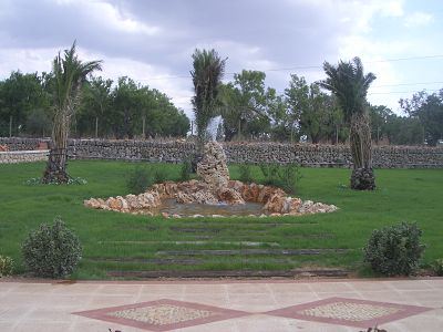 Charcas de Jardinería Alonso