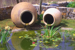 Jardineria Alonso. Proyecto destacado